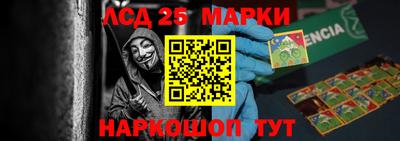гидропоника Краснодар