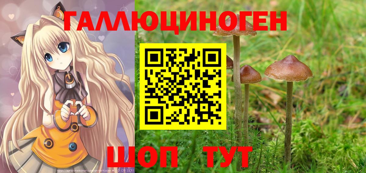 Изобильный  Галлюциногенные грибы Psilocybine cubensis  Галлюциногенные грибы прущие грибы  Вход с VPN 